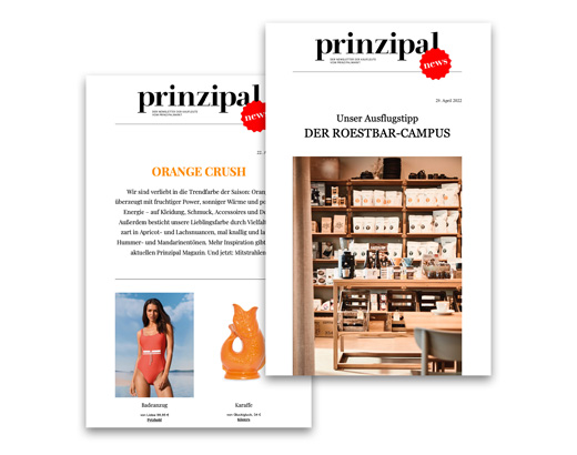 Prinzipal Newsletter